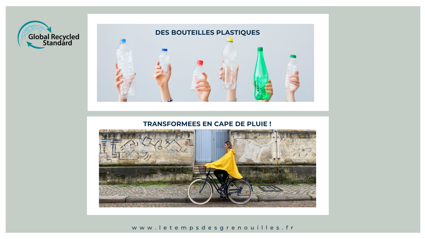 Le Temps des Grenouilles